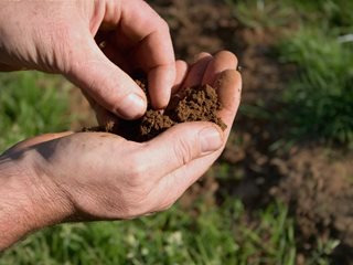 Садовая почва. Как заставить растения хорошо расти?