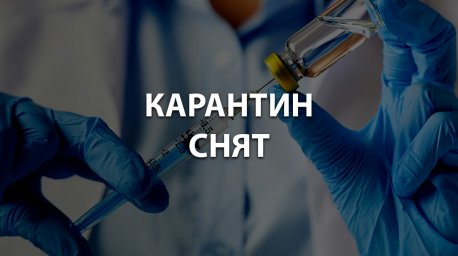 Какие ограничения останутся после снятия карантина 12 мая