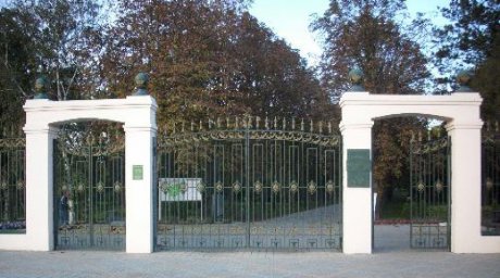 В Краснодаре из-за сильного ветра на два дня закрыли для посетителей Ботанический сад