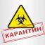Карантин &mdash; единственный способ остановить коронавирус