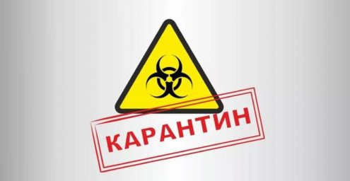 Карантин &mdash; единственный способ остановить коронавирус